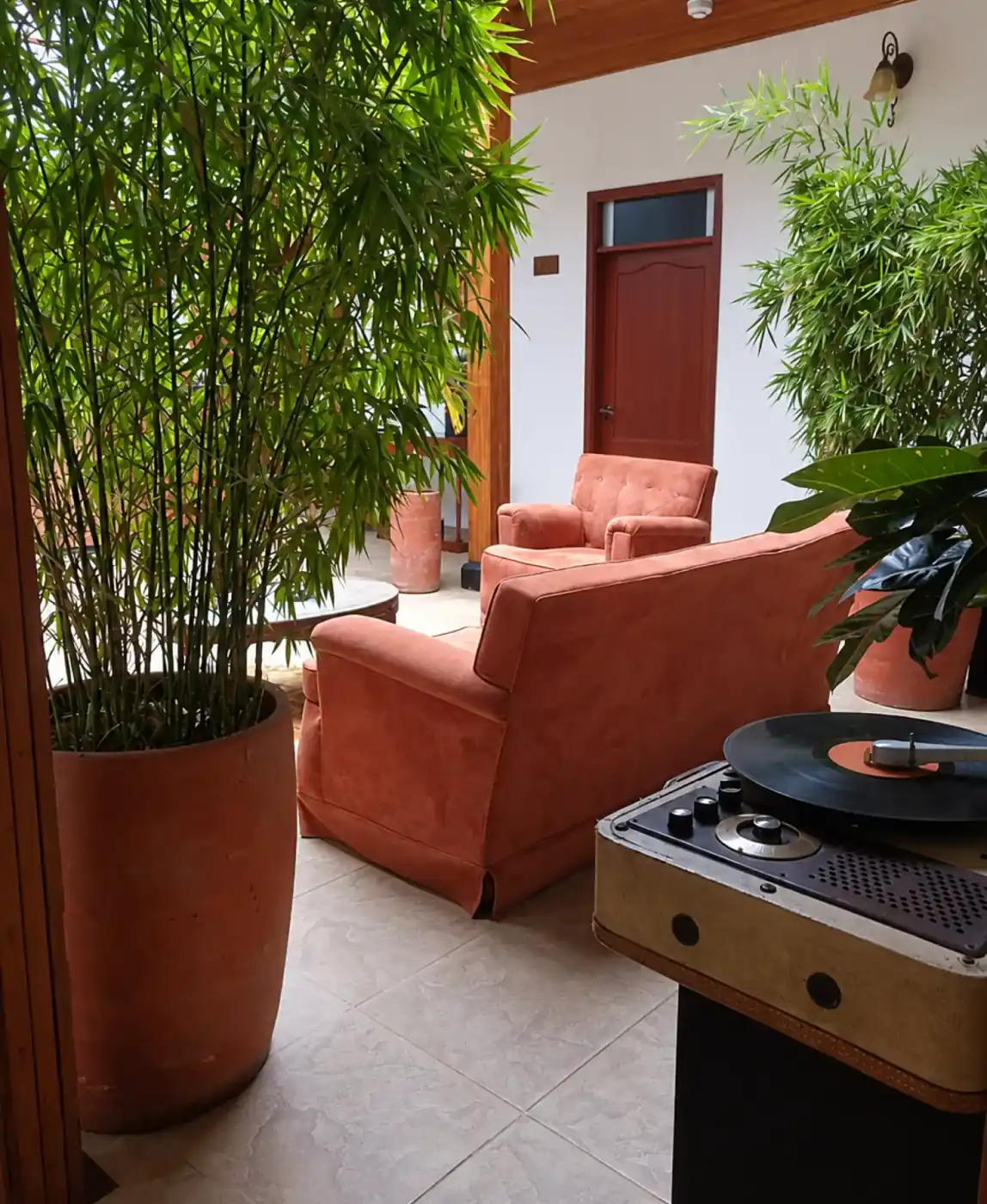 Zona de descanso del patio con bambú y un tocadiscos antiguo